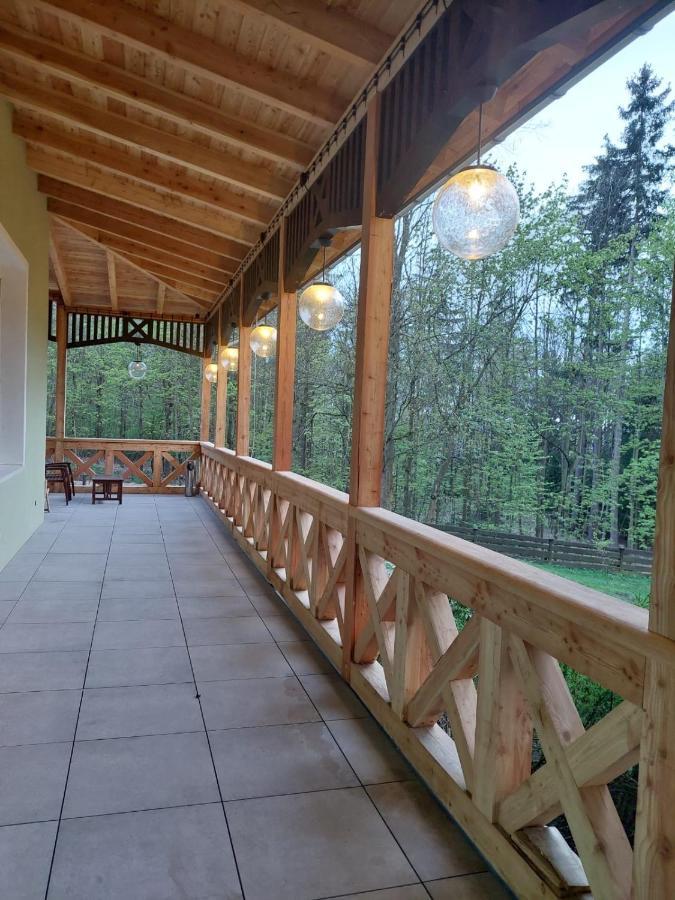 Szwajcarka Willa Z Sauna I Jacuzzi Kudowa Zdroj Exterior photo